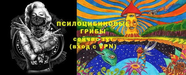 амфетамин Алексеевка