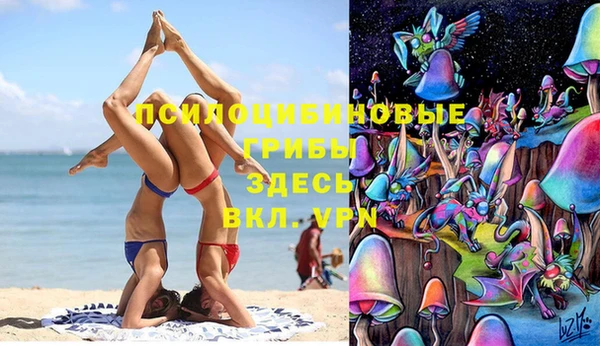 спиды Абаза