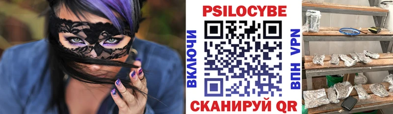 Псилоцибиновые грибы Psilocybe  Красноармейск 